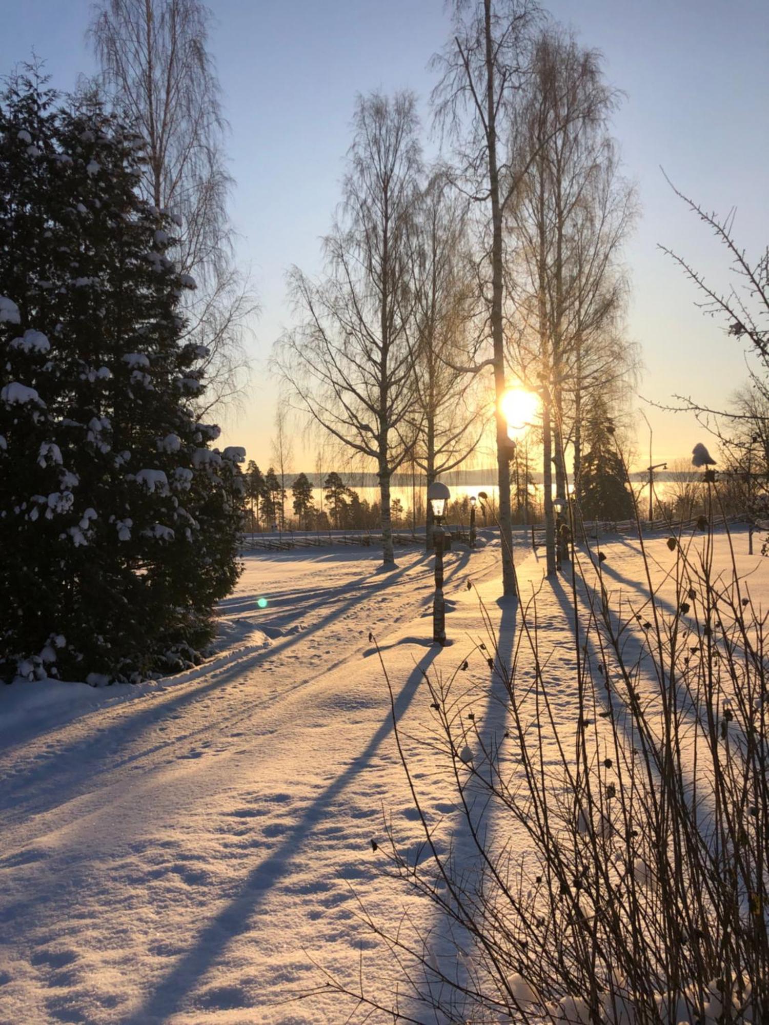 Mysigt Boende I Raettvik Med Utsikt Oever Siljan Exterior foto