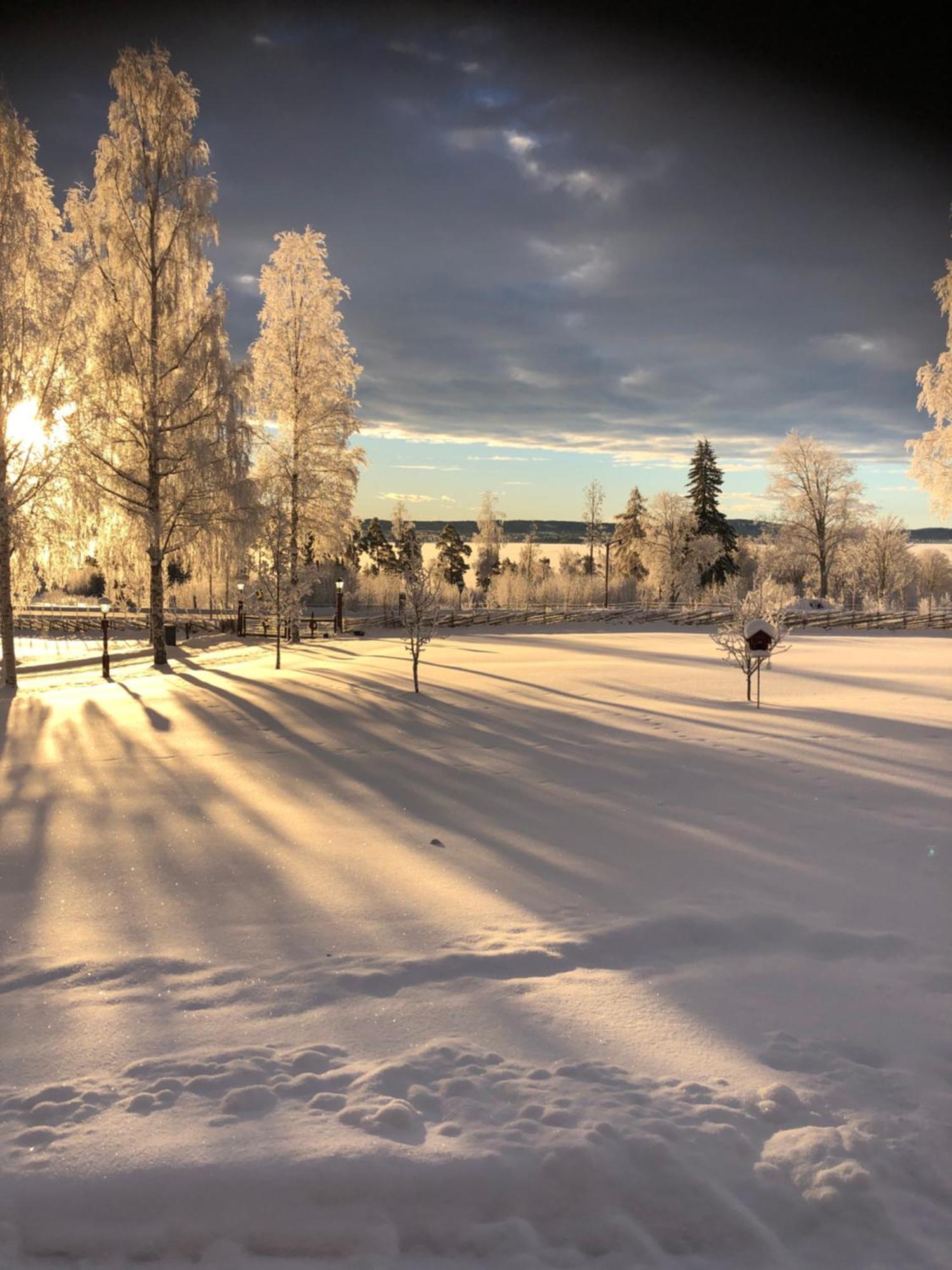 Mysigt Boende I Raettvik Med Utsikt Oever Siljan Exterior foto